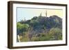 Arizona Desert Plants,USA-Anna Miller-Framed Photographic Print