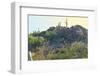 Arizona Desert Plants,USA-Anna Miller-Framed Photographic Print