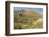 Arizona, Desert Valley Landscape near Phoenix,Scottsdale,Usa-BCFC-Framed Photographic Print