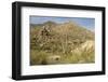 Arizona, Desert Valley Landscape near Phoenix,Scottsdale,Usa-BCFC-Framed Photographic Print