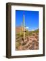 Arizona Desert-Jeni Foto-Framed Photographic Print