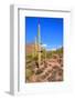 Arizona Desert-Jeni Foto-Framed Photographic Print