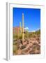 Arizona Desert-Jeni Foto-Framed Photographic Print