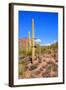 Arizona Desert-Jeni Foto-Framed Photographic Print