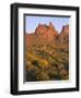 Arizona, Evening Light on Brittlebush-John Barger-Framed Photographic Print