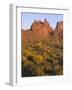 Arizona, Evening Light on Brittlebush-John Barger-Framed Photographic Print