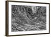 Arizona, Grand Canyon, Colorado River, North Canyon Abstract-John Ford-Framed Photographic Print