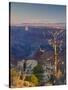 Arizona, Grand Canyon, from Lipan Point, USA-Alan Copson-Stretched Canvas