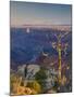 Arizona, Grand Canyon, from Lipan Point, USA-Alan Copson-Mounted Photographic Print