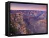 Arizona, Grand Canyon, from Mather Point, USA-Alan Copson-Framed Stretched Canvas