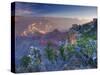 Arizona, Grand Canyon, from Mather Point, USA-Alan Copson-Stretched Canvas