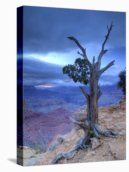 Arizona, Grand Canyon, from Moran Point, USA-Alan Copson-Stretched Canvas