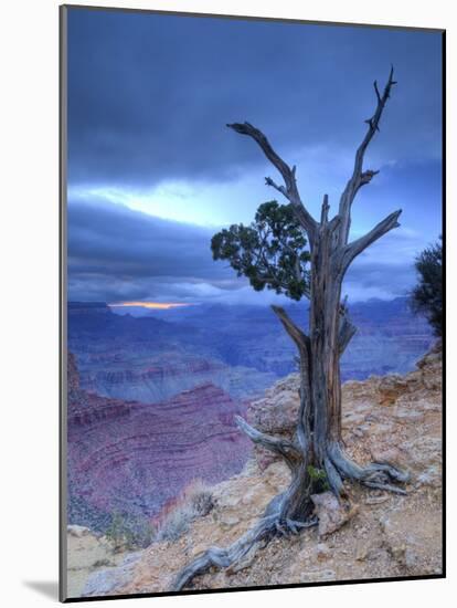 Arizona, Grand Canyon, from Moran Point, USA-Alan Copson-Mounted Photographic Print