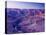Arizona, Grand Canyon, from Pima Point, USA-Alan Copson-Stretched Canvas
