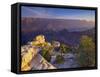 Arizona, Grand Canyon, Mather Point, USA-Alan Copson-Framed Stretched Canvas