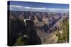 Arizona, Grand Canyon National Park, Grand Canyon and Tourists at Mather Point-David Wall-Stretched Canvas