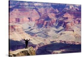 Arizona, Grand Canyon National Park, South Rim, Mather Point-Jamie & Judy Wild-Stretched Canvas