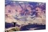 Arizona, Grand Canyon National Park, South Rim, Mather Point-Jamie & Judy Wild-Mounted Photographic Print