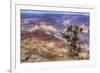 Arizona, Grand Canyon National Park, South Rim-Jamie & Judy Wild-Framed Photographic Print