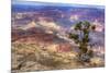 Arizona, Grand Canyon National Park, South Rim-Jamie & Judy Wild-Mounted Photographic Print