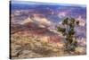 Arizona, Grand Canyon National Park, South Rim-Jamie & Judy Wild-Stretched Canvas