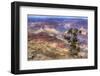 Arizona, Grand Canyon National Park, South Rim-Jamie & Judy Wild-Framed Photographic Print