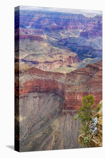 Arizona, Grand Canyon National Park, South Rim-Jamie & Judy Wild-Stretched Canvas