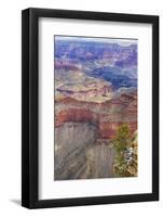 Arizona, Grand Canyon National Park, South Rim-Jamie & Judy Wild-Framed Photographic Print