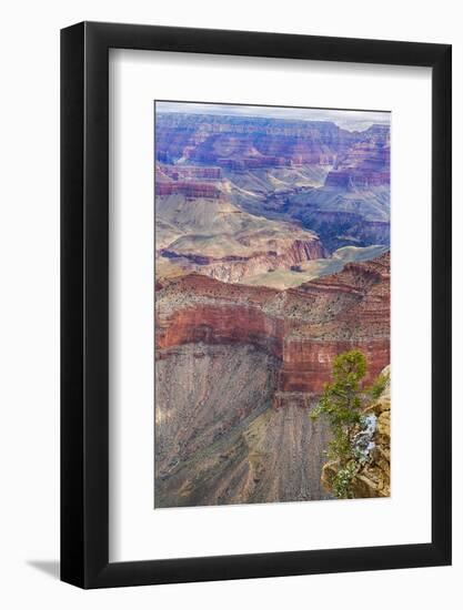 Arizona, Grand Canyon National Park, South Rim-Jamie & Judy Wild-Framed Photographic Print