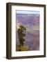 Arizona, Grand Canyon National Park, South Rim-Jamie & Judy Wild-Framed Photographic Print