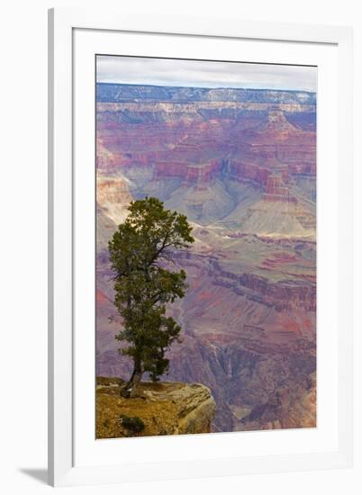 Arizona, Grand Canyon National Park, South Rim-Jamie & Judy Wild-Framed Premium Photographic Print