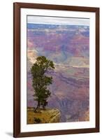 Arizona, Grand Canyon National Park, South Rim-Jamie & Judy Wild-Framed Premium Photographic Print