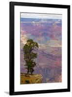 Arizona, Grand Canyon National Park, South Rim-Jamie & Judy Wild-Framed Premium Photographic Print