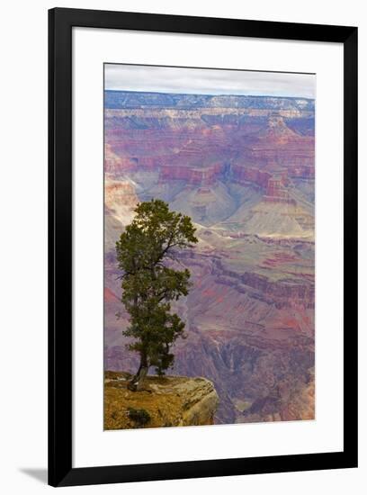 Arizona, Grand Canyon National Park, South Rim-Jamie & Judy Wild-Framed Premium Photographic Print