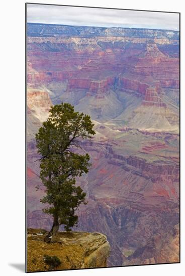 Arizona, Grand Canyon National Park, South Rim-Jamie & Judy Wild-Mounted Premium Photographic Print