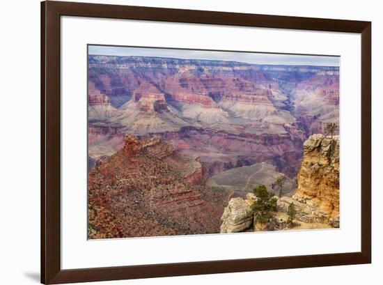 Arizona, Grand Canyon National Park, South Rim-Jamie & Judy Wild-Framed Premium Photographic Print