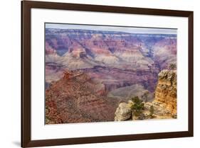 Arizona, Grand Canyon National Park, South Rim-Jamie & Judy Wild-Framed Premium Photographic Print