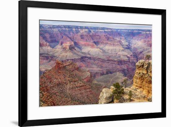 Arizona, Grand Canyon National Park, South Rim-Jamie & Judy Wild-Framed Premium Photographic Print