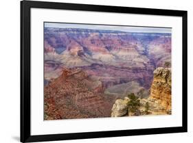 Arizona, Grand Canyon National Park, South Rim-Jamie & Judy Wild-Framed Premium Photographic Print