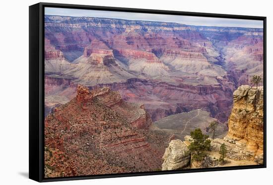 Arizona, Grand Canyon National Park, South Rim-Jamie & Judy Wild-Framed Stretched Canvas