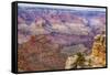 Arizona, Grand Canyon National Park, South Rim-Jamie & Judy Wild-Framed Stretched Canvas