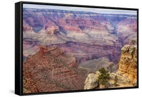 Arizona, Grand Canyon National Park, South Rim-Jamie & Judy Wild-Framed Stretched Canvas