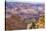 Arizona, Grand Canyon National Park, South Rim-Jamie & Judy Wild-Stretched Canvas