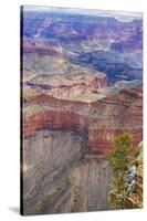 Arizona, Grand Canyon National Park, South Rim-Jamie & Judy Wild-Stretched Canvas