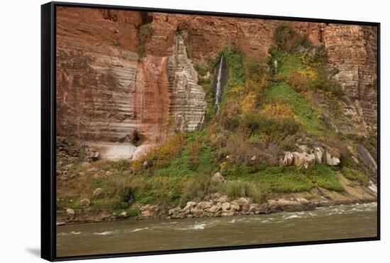 Arizona, Grand Canyon NP. Fresh-Water Spring Flows from Canyon Wall-Don Grall-Framed Stretched Canvas