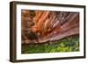 Arizona. Hanging Garden in Canyon X-Jaynes Gallery-Framed Photographic Print