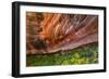 Arizona. Hanging Garden in Canyon X-Jaynes Gallery-Framed Photographic Print