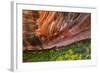 Arizona. Hanging Garden in Canyon X-Jaynes Gallery-Framed Photographic Print