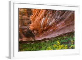 Arizona. Hanging Garden in Canyon X-Jaynes Gallery-Framed Photographic Print