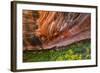 Arizona. Hanging Garden in Canyon X-Jaynes Gallery-Framed Photographic Print